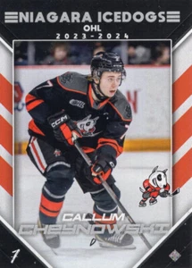 2023/24 Niagara IceDogs - CALLUM CHEYNOWSKI - Picture 1 of 2