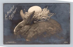 Buona Pasqua - Coniglietto con uovo in nido - c.1906 cartolina fotografica reale RPPC - Foto 1 di 2
