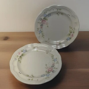 "JUEGO DE 2 platos de pastel de pan de ensalada postre de 7"" Pfaltzgraff EE. UU." - Imagen 1 de 5