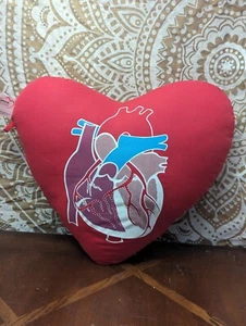 Shumsky Therapeutic Post-Op Heart Pillow Regions Hospital St.Paul Mn (Au) - Picture 1 of 5