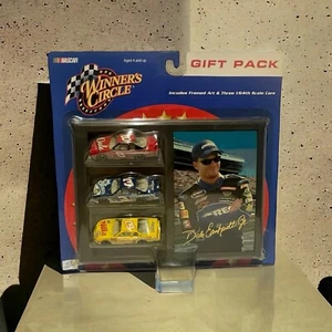 Dale Earnhardt Jr. WINNER'S CIRCLE GIFT PACK action 1/64 Framed Art NASCAR Cars - Picture 1 of 3