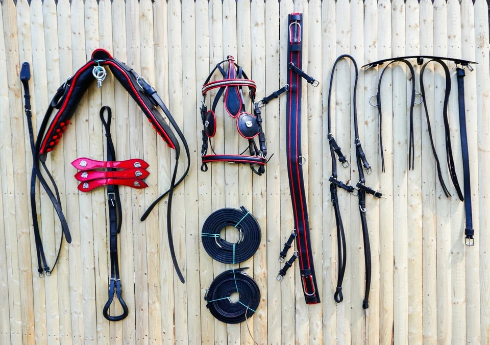 Premium Full Size Leather Horse Driving Harness With Red Trim - Image 1 of 4