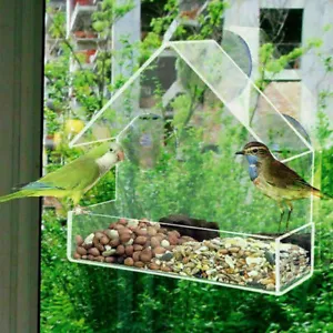 Window Bird Feeder Wild Table Hanging Suction Perspex Clear Viewing Seed Nut - Picture 1 of 5