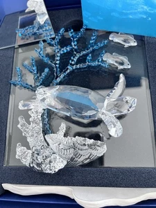 Swarovski Auth 684266 Crystal Wonders of the Sea Eternity Schildkröte mit OVP - Bild 1 von 4