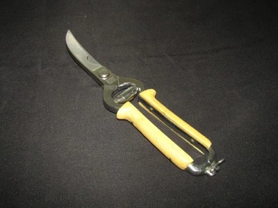 Vintage Bone Shears Germany Poultry Solinger REGENT Scissors Sharp - Image 1 of 4