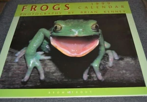 Calendario de pared 1999 fotografía de ranas por Brian Kenney ¡sellado! Vintage - Imagen 1 de 3