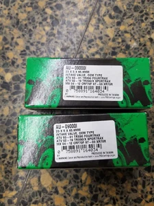 Válvula de admisión Bronco para HONDA TRX90 TRX90EX TRX90X AU-09000I - Imagen 1 de 1