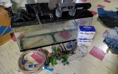 55 gallon Fish Tank - Image 1 of 4