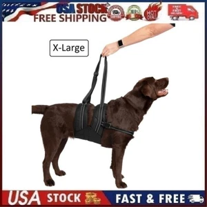 Labra Veterinarian Approved Dog Canine K9 Sling Lift Assist with Chest Strap - Picture 1 of 17