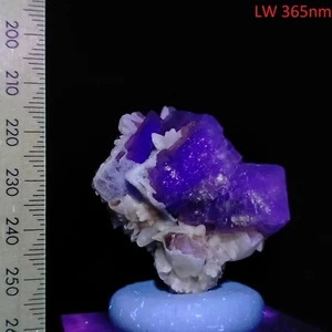 Fluorite fluorescent translucent cubes w/ Dogtooth Calcite specimen 219ct - Picture 1 of 8