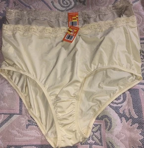2 Neu mit Etikett Scoops 6167 Warner's hochgeschnittene Nylon Spitze Slip HÖSCHEN Größe 10/3XL VINTAGE - Bild 1 von 5