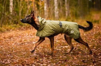 Rukka Pets Sky Dog Raincoat Green