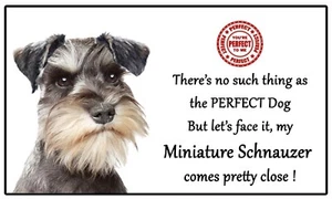 Miniature Schnauzer Dog Gift - Perfect Dog - Fun novelty Flexible 5" x 3" Magnet - Picture 1 of 2