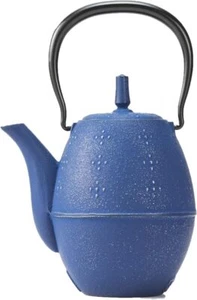 Iwachu Nambu Ironware Rice Teapot Inner Enamel 0.6L Silver/EBU w/Box New Japan - Picture 1 of 4