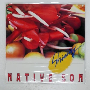 NATIVE SON SHINING JVC VIJ28016 Japan VINYL LP - Picture 1 of 1