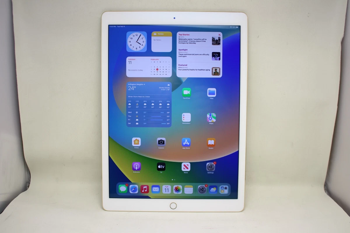 iPad Pro12.9 第1世代 256GB WiFi ゴールド 第1世代】iPad Pro 12.9インチ Wi-Fi 128GB ゴールド ML0R2J/A A1584