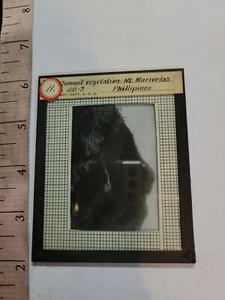 Glass Magic Lantern Slide  SCIENCE (forests,) in Phillipines b33 - Picture 1 of 1