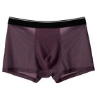 Men's Sexy Breathable Transparent Boxer Briefs Panties In Ice Silk Material