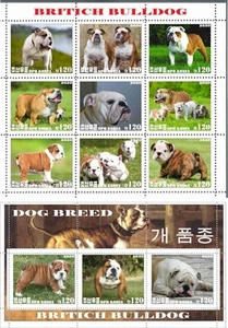 Stamp sheet+block British Bulldog 2020 Korea issue Dogs - Picture 1 of 1