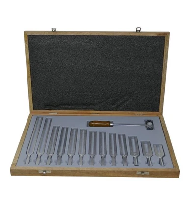 Juego de diapasones con mazo música violín piano audición vibración sonido Foto 1 de 4