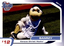 2012 Corpus Christi Hooks Grandstand #33 Sammy Mascot - NM Baseball Card