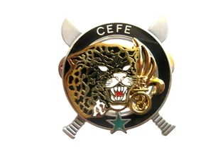 GUYANE LEGION ETRANGERE 3° REI BREVET COMMANDO FORET CEFE (ETOILE VERTE) - Picture 1 of 2
