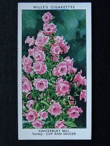 CANTERBURY BELL Garden Flowers by Sudell Published by W.D. & H.O. Wills 1939 - Picture 1 of 1