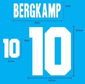 HOLLAND Home World Cup 1994 FLOCK VELVET NAME NUMBERING PRINT EXCELLENT QUALITY  - Picture 1 of 8