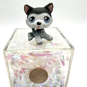 LPS 210 Husky - Picture 1 of 5