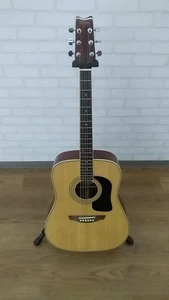 Guitarra acústica WASHBURN JBA-95 - Imagen 1 de 10
