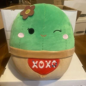 Squishmallows 14" Shadi Cactus W Flower Girl Green Valentines Day Heart Plush - Picture 1 of 10