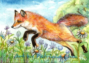 ACEO LE Art Card Print 2.5"x3.5" " Jumpy Fox " Animal Art by Patricia - Bild 1 von 1