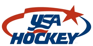 USA hockey sticker weatherproof bumper vinyl decal - Picture 1 of 1