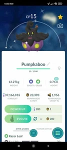 Pokemon Shiny Pumpkaboo LV1 Size XXL Wearing a Spooky Festival - TRA'DE GO - Picture 1 of 1