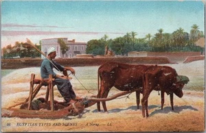 Postal de Egipto de la década de 1960 "TIPOS Y ESCENAS EGIPCIAS - A Norag" Ox Pow / Agricultura - Imagen 1 de 2