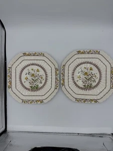 Spode BUTTERCUP quadratischer Mittagessen Teller 8,75" alter Bodenstempel LESEN - Bild 1 von 10