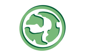 4x Playset MTG Magic the Gathering Complete Set of 4 x4 Cards Homelands You Pick