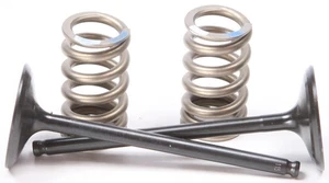 Pro X 28.SIS2414-2 Steel Valves and Spring Kits Intake - Picture 1 of 1