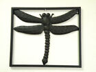 Traditional Wrought Iron Dragonfly Wall Décor ( 14.5" W x 12" L)