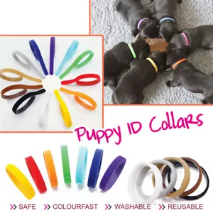 12 Farben Welpen ID Halsbänder Klettband Welpenhalsband für Hunde Katzen Züchter - Bild 1 von 5