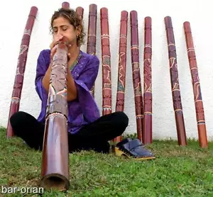 ABORIGINAL DIDGERIDOO REPTILE HANDCARVING +BAG +BEESWAX +FREE WORLDWIDE SHIPPING - Picture 1 of 12