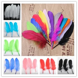 Großhandel 10-1000 STCK. 15-20cm/6-8 Zoll Gänsefedern Heimdekoration Zum Selbermachen - Bild 1 von 15
