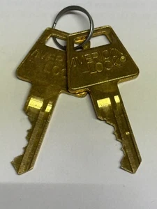 Random Pair(s) of Factory Cut American Padlock 5 Pin Keys - Picture 1 of 2