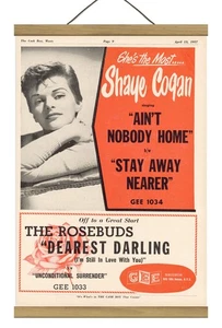 Seltene Original Shaye Cogan Ain't Nobody Home Promo Anzeige, montiert mit Magnetrahmen! - Bild 1 von 3