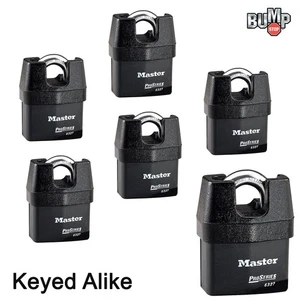 Master Lock Pro Series Padlock - (6) High Security Locks 6327NKA-6 w/ BumpStop - Picture 1 of 4