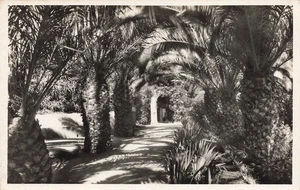 ALGERIEN ALGER PARK DE GALLAND - Bild 1 von 2