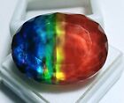 Certyfikat EGL Doublet 43,80 ct Naturalny ammolit Opal - organiczny luźny kamień szlachetny