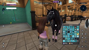 Star Stable Account Level 21, 3.000+ Star Coins, Lifetime 71 Pferde - Bild 1 von 7
