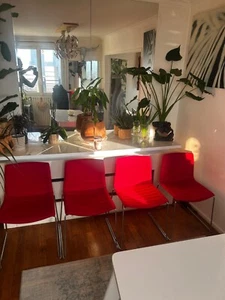 4 chaises Arper catifa 46 Luge - Bild 1 von 6
