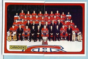 1988-89 Panini NHL Hockey Sticker Montreal Canadiens Team Photo #263 #264